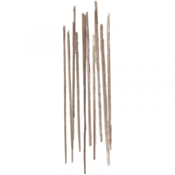 Bobbi Brown Precise Brow Pencil ceruzka na obočie odtieň Grey Blonde 0.06 g