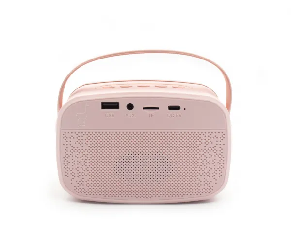 Bluetooth Karaoke párty súprava + 2 mikrofóny Rose