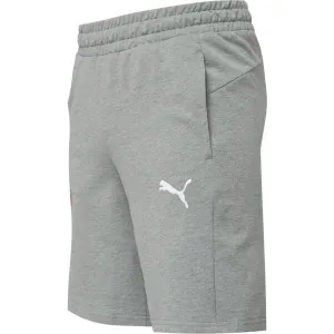 Puma TEAMGOAL CASUALS SHORTS Pánske krátke nohavice, sivá, veľkosť