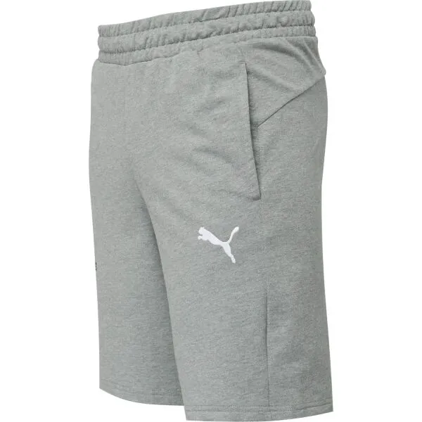 Puma TEAMGOAL CASUALS SHORTS Pánske krátke nohavice, sivá, veľkosť