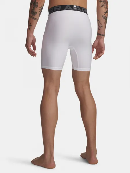 Pánske kraťasy Under Armour