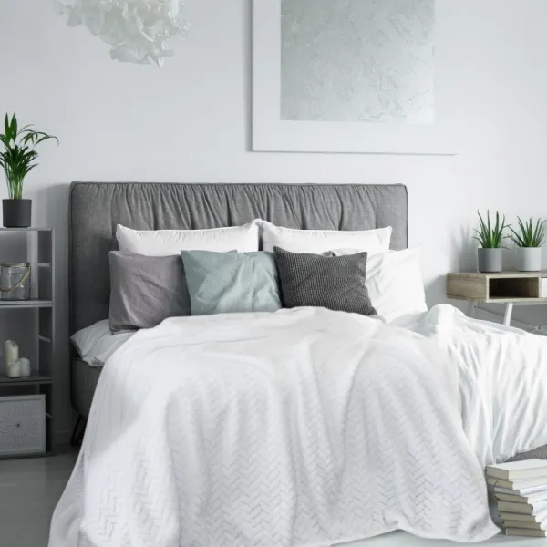 Domtextilu Krémová dekoračná deka zo zamatovo hebkej tkaniny  70 x 160 cm 31581_27389 krémová