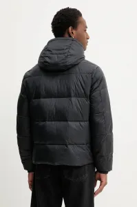 Bunda Abercrombie & Fitch