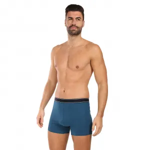 Pánske boxerky Andrie viacfarebné (PS 5828/green) L, trenky