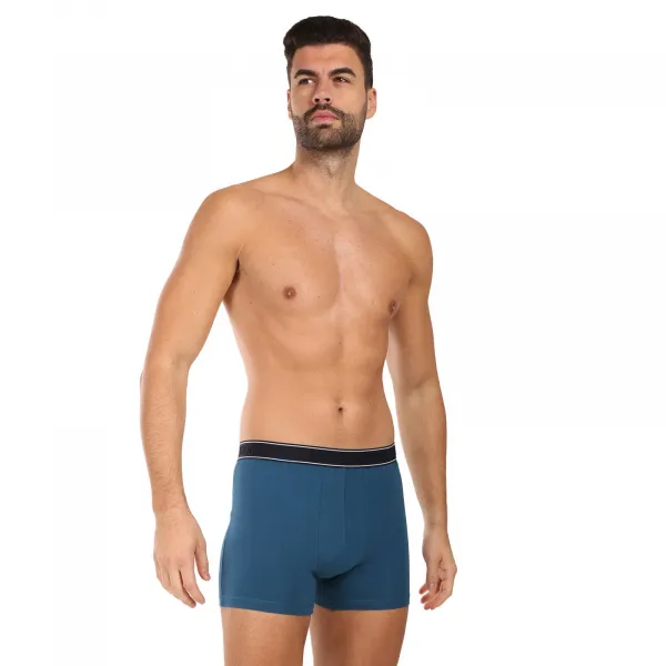 Pánske boxerky Andrie viacfarebné (PS 5828/green) L, trenky