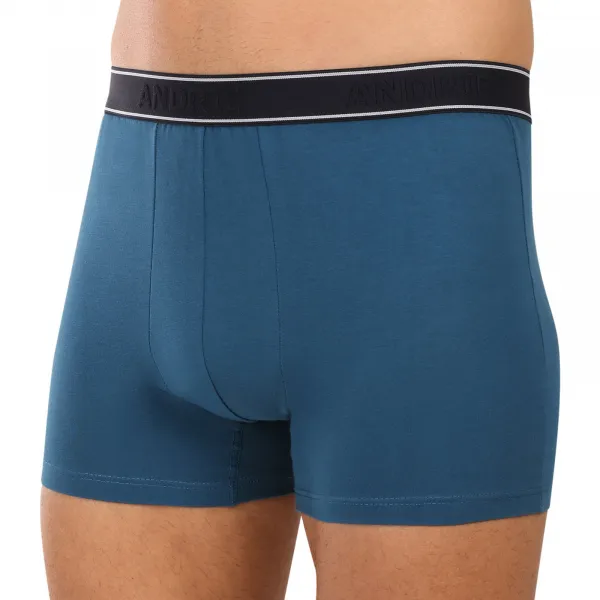 Pánske boxerky Andrie viacfarebné (PS 5828/green) L, trenky
