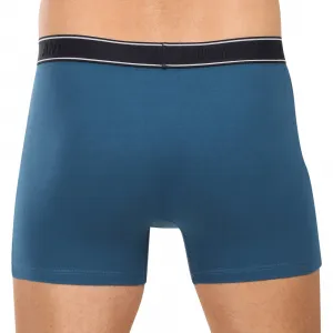 Pánske boxerky Andrie viacfarebné (PS 5828/green) L, trenky