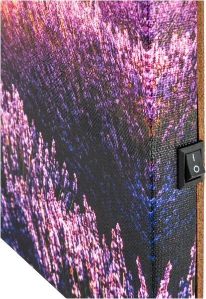 LED obraz Levanduľové pole