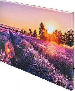LED obraz Levanduľové pole