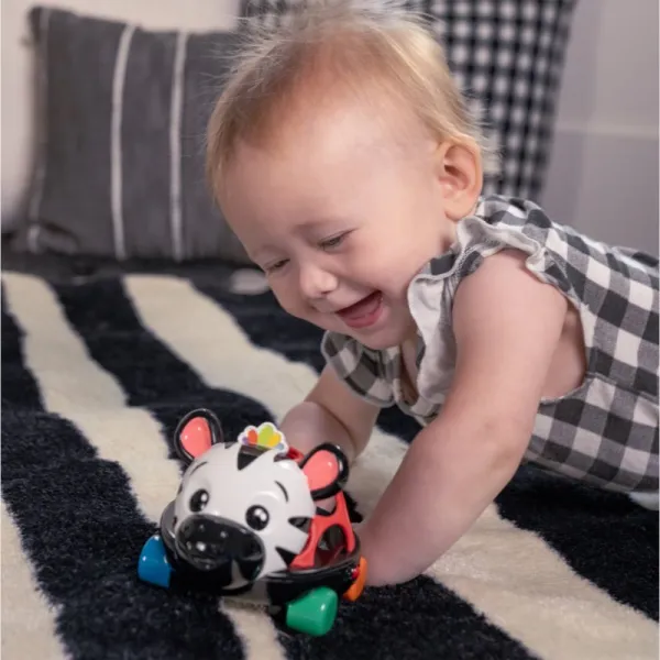 Baby Einstein Zen the Zebra™ Curious Car autíčko s hrkálkou 3 m+ 1 ks