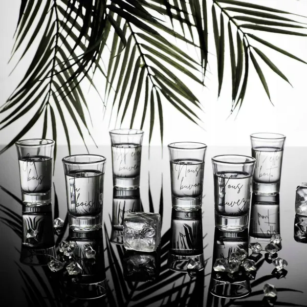 HowHomely Sada 6 ks sklenených panákových pohárikov Verres číra