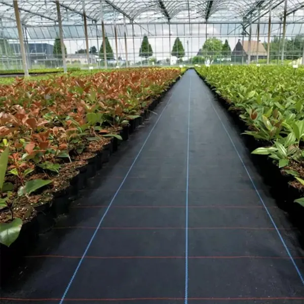Agrotextíliačierna90g/m1,1x100m+100kolíkov