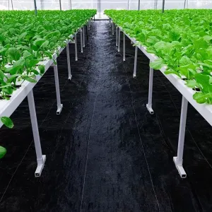 Agrotextíliačierna90g/m1,1x100m+100kolíkov