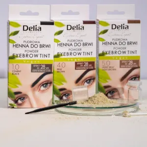 Delia Cosmetics Eyebrow Expert tónovacia farba na obočie odtieň 1.0 Black 4 g