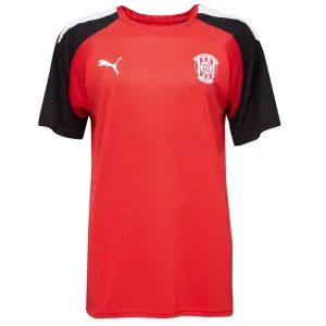 Puma TEAMGLORY JERSEY Pánske futbalové tričko, červená, veľkosť