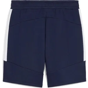 Puma TEAMEVOSTRIPE SHORTS Pánske šortky, tmavo modrá, veľkosť