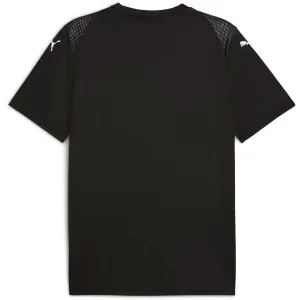 Puma TEAMGLORY JERSEY Pánske futbalové tričko, sivá, veľkosť