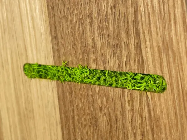 Dubovénástennéhodinysmachom30cm46914