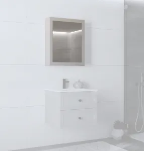 HALMAR Závěsná koupelnová skříňka se zrcadlem Toreto 60 cm kašmírová