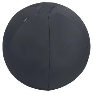 Ergo Cosy Active lopta na sedenie Leitz