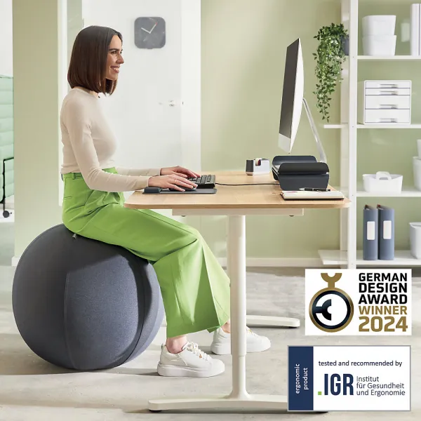 Ergo Cosy Active lopta na sedenie Leitz