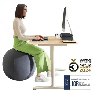 Ergo Cosy Active lopta na sedenie Leitz