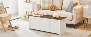 Lavica s úložným priestorom Vasagle Braisy 100 cm biela/orech