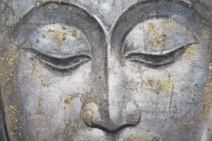 Mauro Ferretti Obraz Face Buddha Light A 80x120 cm sivý