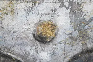 Mauro Ferretti Obraz Face Buddha Light A 80x120 cm sivý