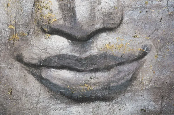 Mauro Ferretti Obraz Face Buddha Light A 80x120 cm sivý