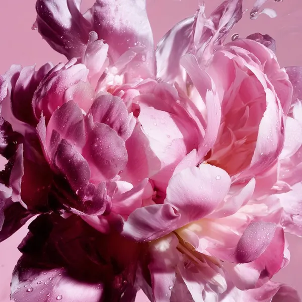 Viktor & Rolf Flowerbomb Pretty Peony parfumovaná voda pre ženy 100 ml
