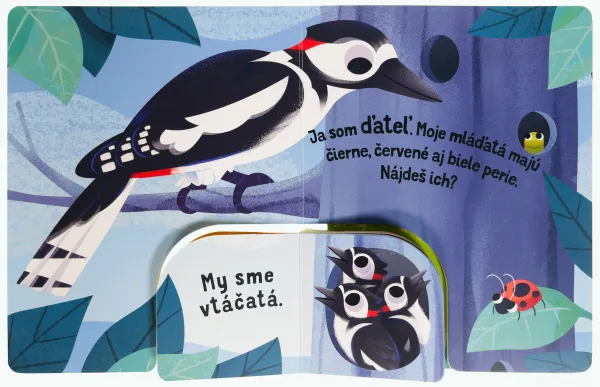 Nájdi mláďa Les