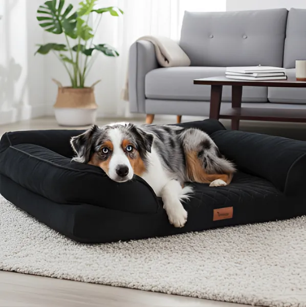 OrtopedickýpelechprepsaspamäťovoupenouŠírka:55cm|Dĺžka:65cm