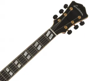 Eastman AR580CE-HB