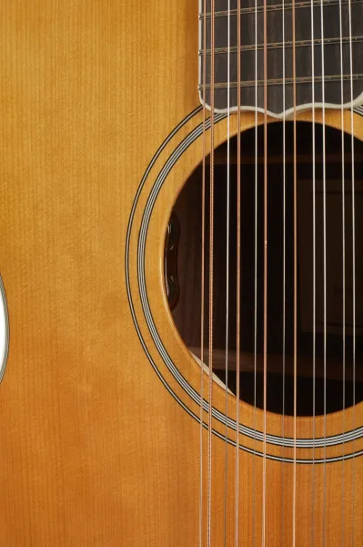 Sigma Guitars SGJR12-SG200