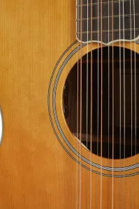 Sigma Guitars SGJR12-SG200