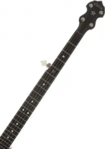Deering Vega Senator 5-String