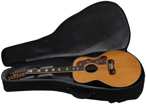 Sigma Guitars SGJR12-SG200