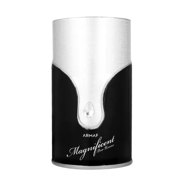 Armaf Magnificent Pour Homme parfumovaná voda pre mužov 100 ml