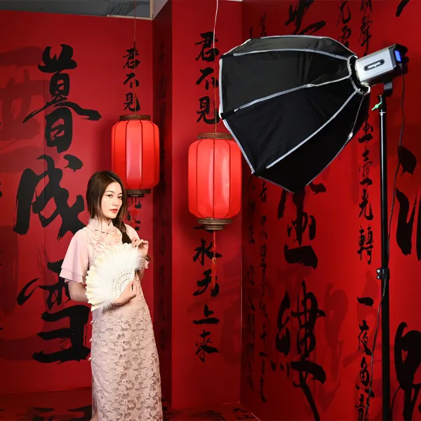 Viltrox Softbox VP-45 16648