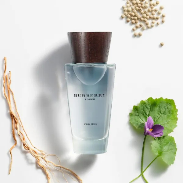 Burberry Touch for Men toaletná voda pre mužov 100 ml