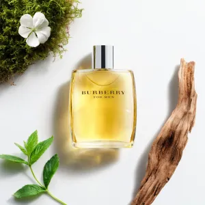 Burberry Burberry for Men toaletná voda pre mužov 50 ml