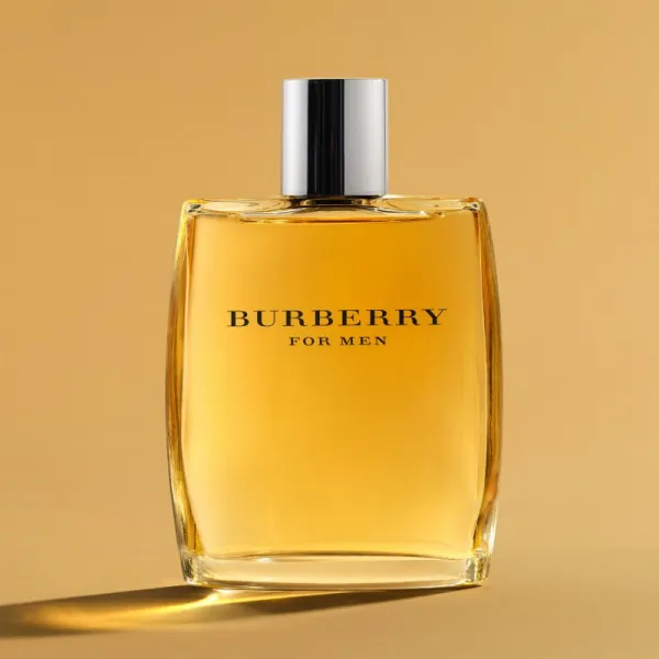 Burberry Burberry for Men toaletná voda pre mužov 100 ml