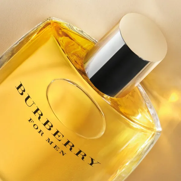 Burberry Burberry for Men toaletná voda pre mužov 50 ml