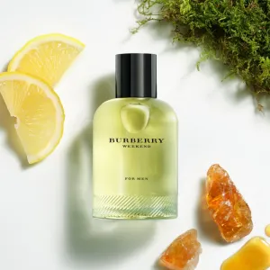 Burberry Weekend for Men toaletná voda pre mužov 30 ml