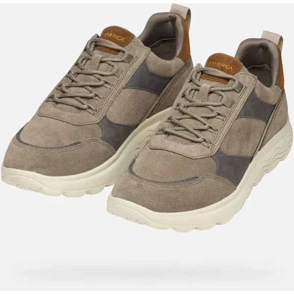 Grey men's sneakers Geox - Men's