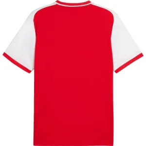 Puma TEAMLIGA 26 MATCHDAY JERSEY Pánske športové tričko, červená, veľkosť