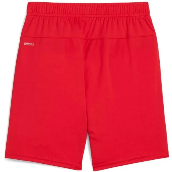 Puma TEAMGOAL SHORTS Pánske futbalové šortky, červená, veľkosť