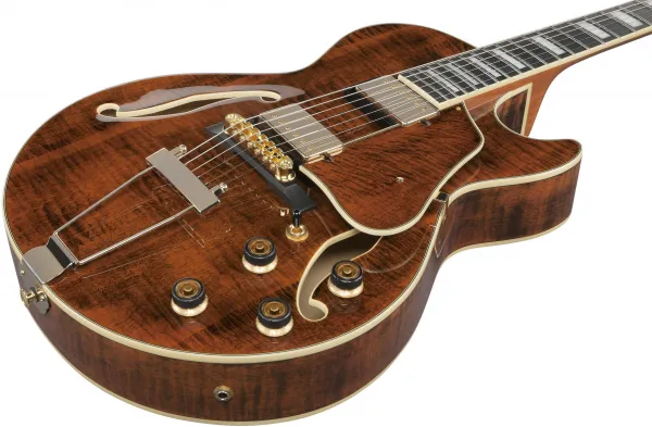 Ibanez AG95MG-DA