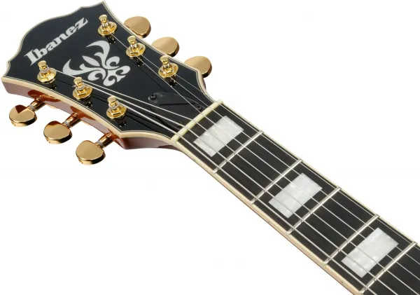 Ibanez AG95MG-DA
